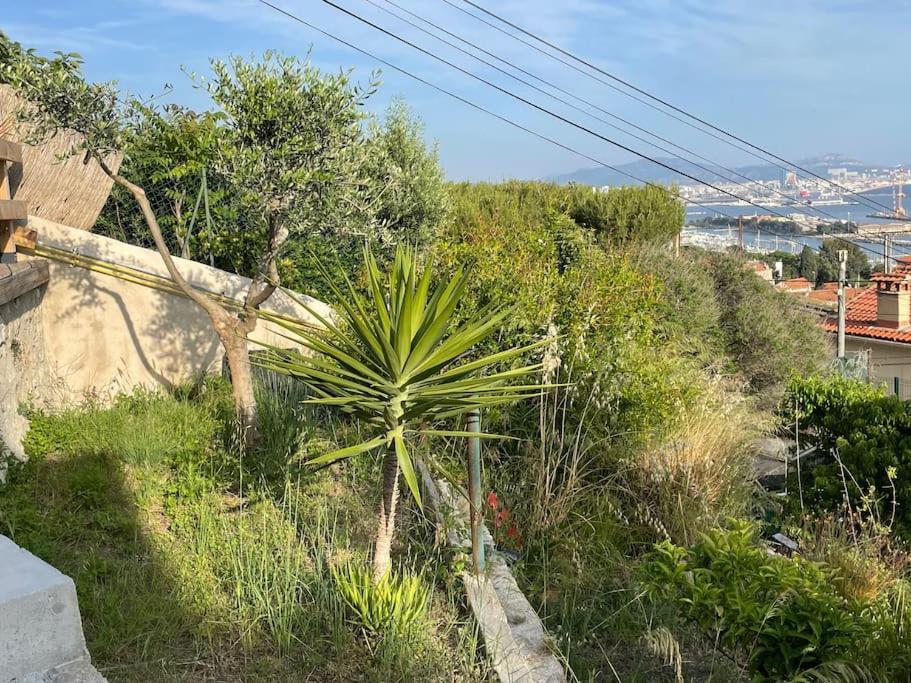 Superbe Terrasse Avec Vue Panoramique Sur La Mer มาร์กเซย ภายนอก รูปภาพ